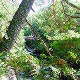 Review photo of Little Presque Isle State Forest Cabins by Amy K., June 26, 2018