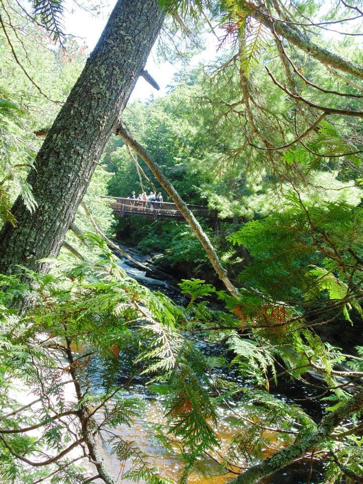 Camper submitted image from Little Presque Isle State Forest Cabins - 2