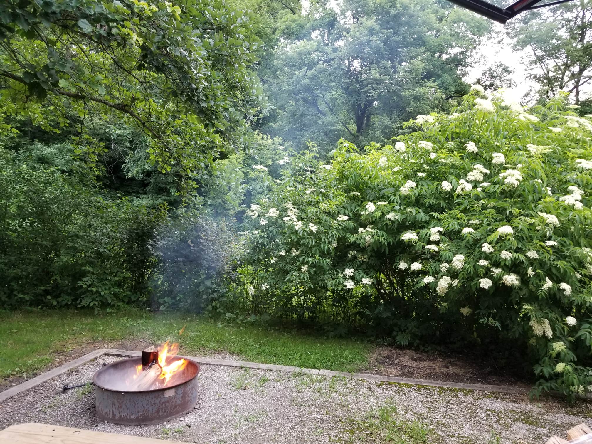 Thomas Mitchell County Park Camping