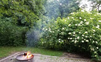 Kimberly W.'s photo at Thomas Mitchell County Park in Iowa