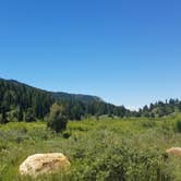 Review photo of Willow Flat Campground by Alan B., June 26, 2018