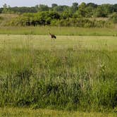 Review photo of Sunrise Campground — Richard Bong State Recreation Area by Dave Q., June 26, 2018