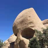 Review photo of Jumbo Rocks Campground — Joshua Tree National Park by Andrew D., June 26, 2018