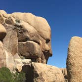 Review photo of Jumbo Rocks Campground — Joshua Tree National Park by Andrew D., June 26, 2018