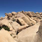 Review photo of Jumbo Rocks Campground — Joshua Tree National Park by Andrew D., June 26, 2018