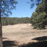 Review photo of Potato Patch Campground by Rusty T., June 26, 2018