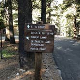 Review photo of Tuolumne Meadows Campground — Yosemite National Park by Brian C., June 26, 2018