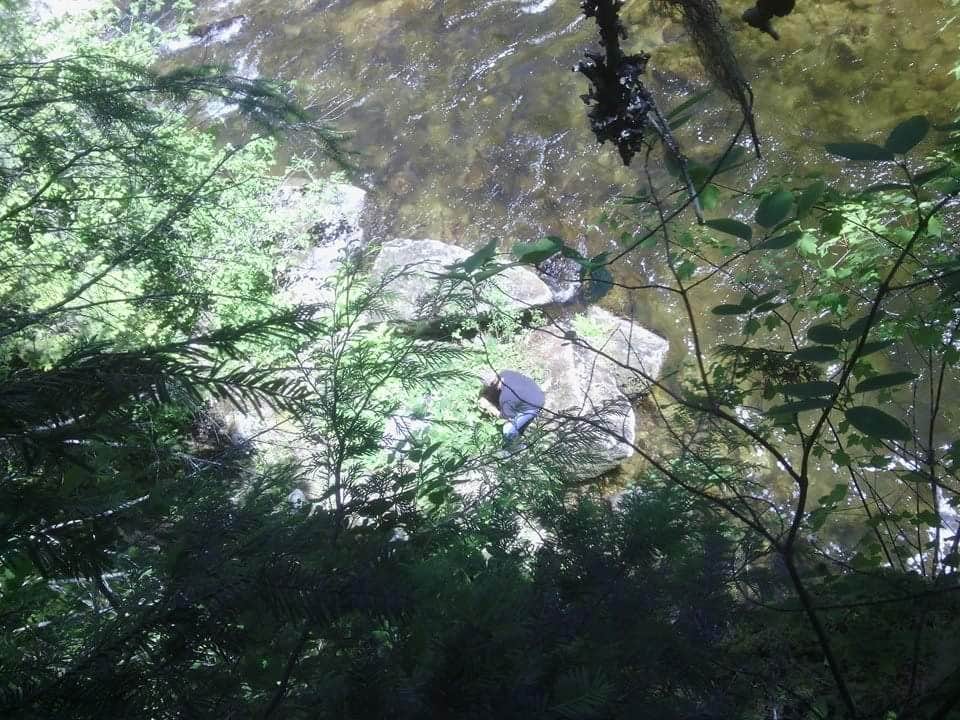 Camper-submitted photo at Clark Mountain/Orogrande Trailhead near Nez Perce-Clearwater National Forests