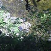 Review photo of Clark Mountain/Orogrande Trailhead by Christopher R., June 16, 2018