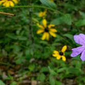 Review photo of Tannehill Ironworks Historical State Park Campground by Adam R., June 26, 2018