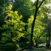 Review photo of Tannehill Ironworks Historical State Park Campground by Adam R., June 26, 2018