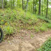 Review photo of Tannehill Ironworks Historical State Park Campground by Adam R., June 26, 2018