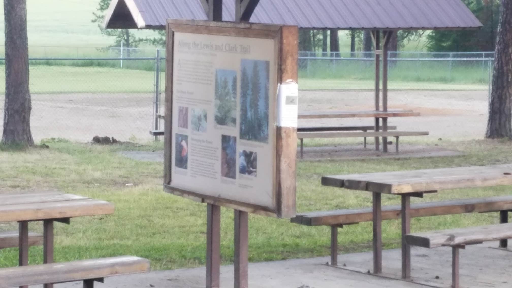 Camper submitted image from Fraser Park - 4