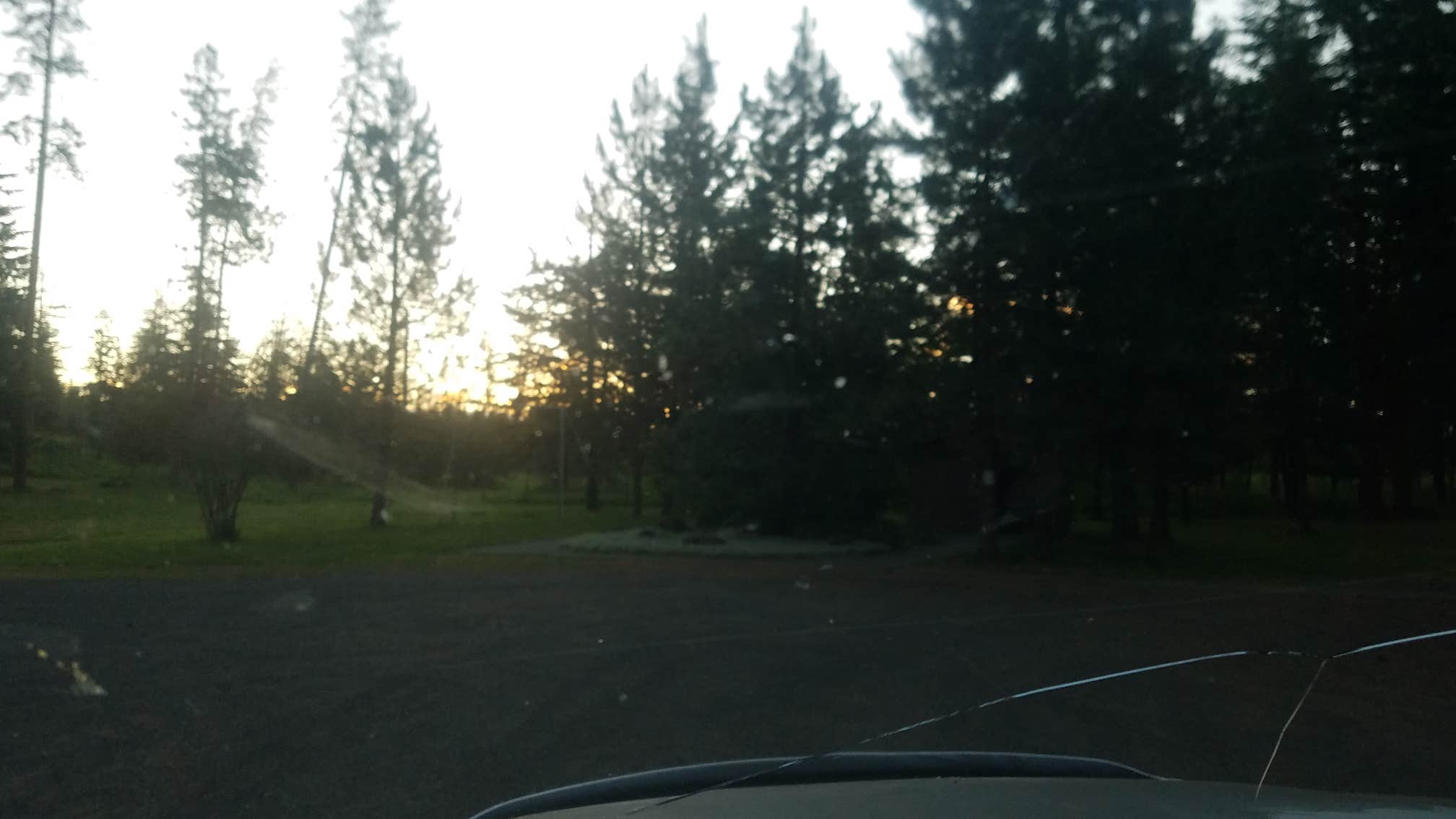 Camper-submitted photo at Fraser Park near Weippe, ID