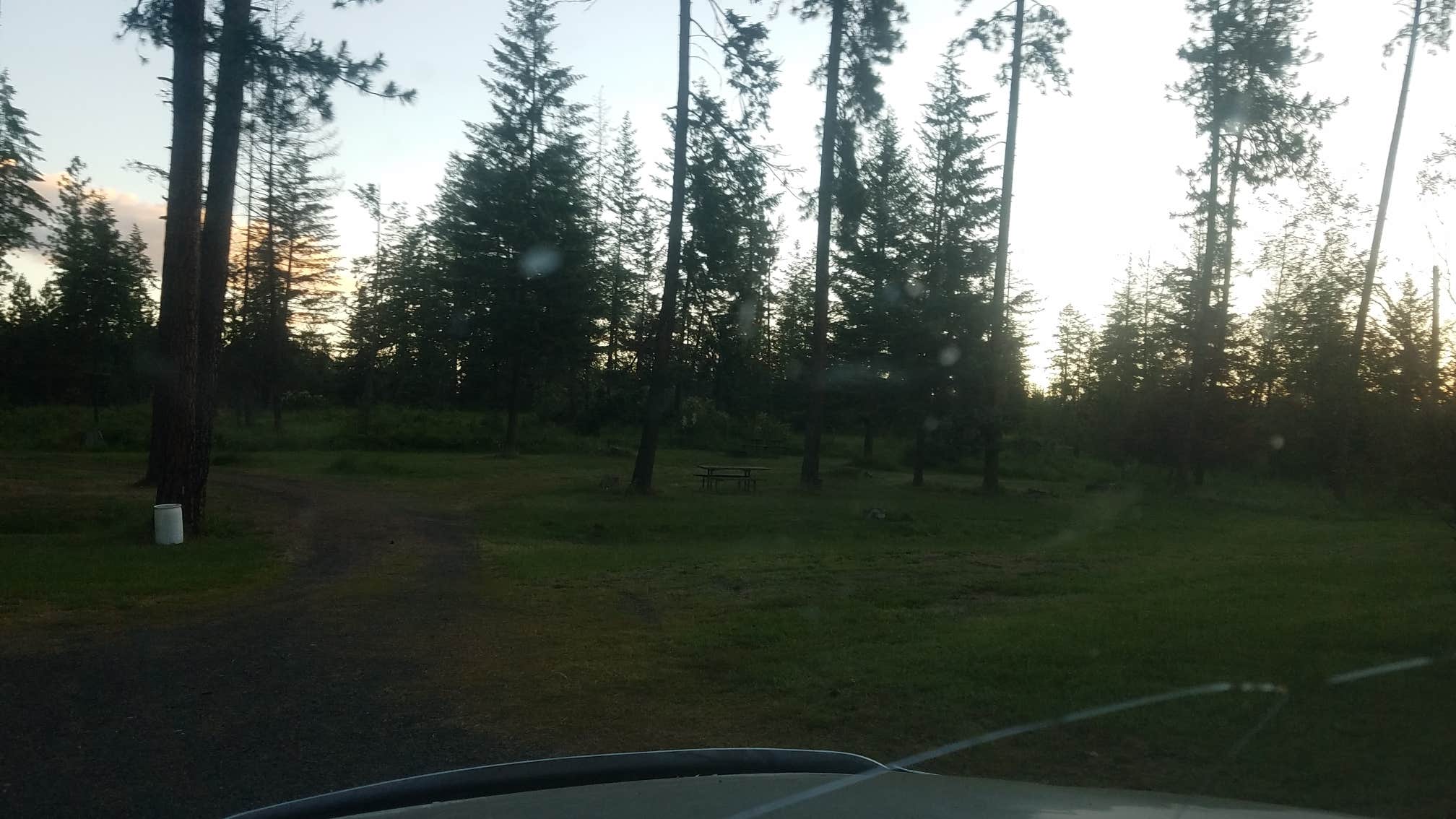 Camper-submitted photo at Fraser Park near Weippe, ID