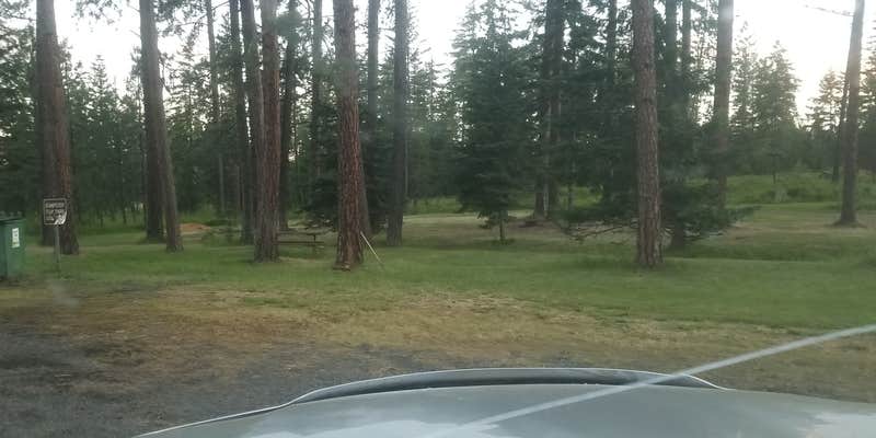 Camper submitted image from Fraser Park