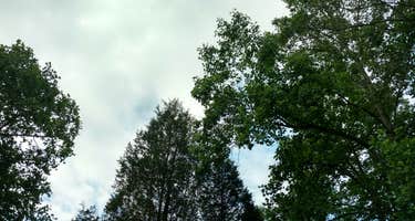 Newton Stewart State Rec Area - Patoka Lake