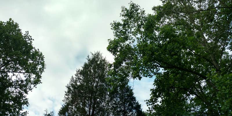 Camper submitted image from Newton Stewart State Rec Area - Patoka Lake