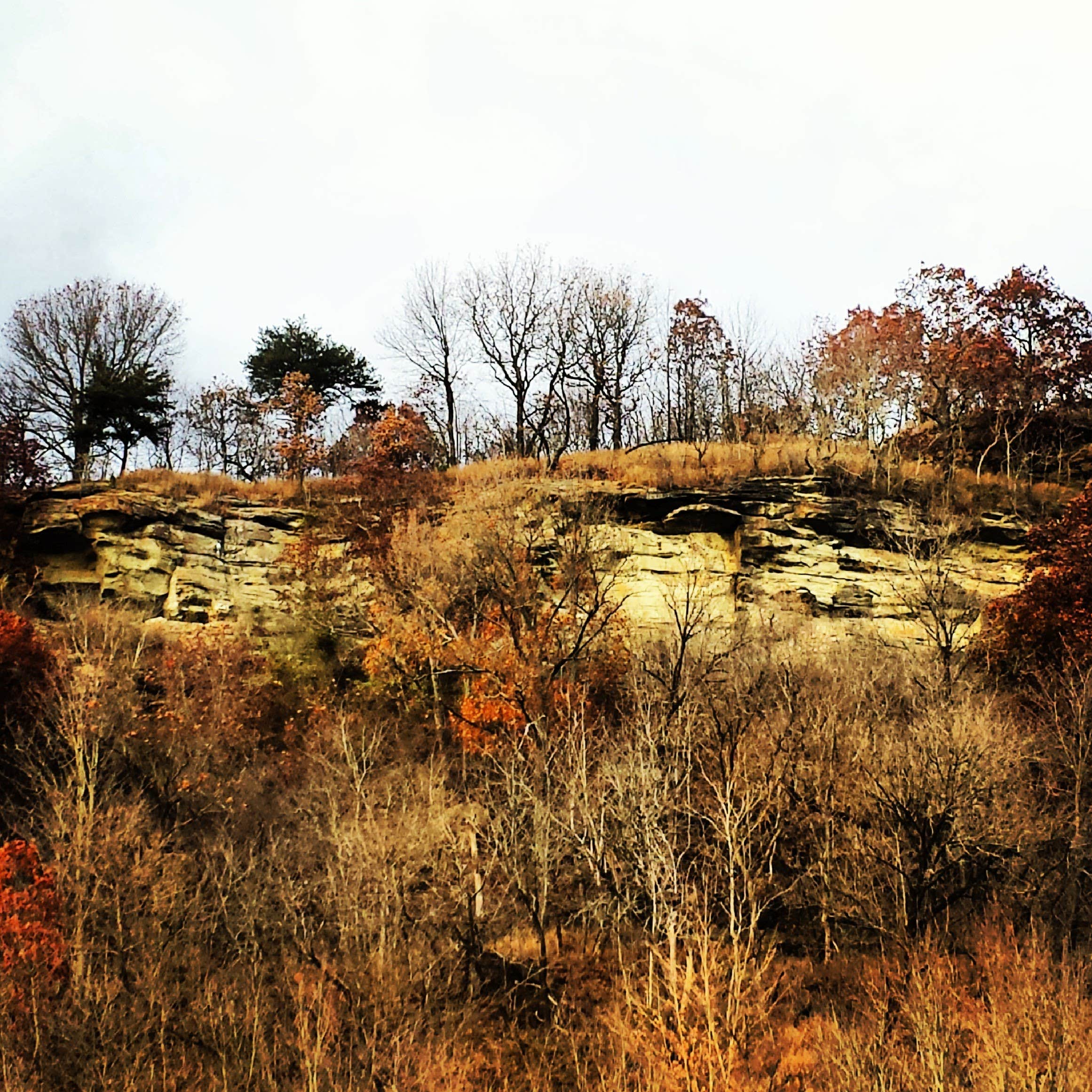 Camper submitted image from Potowatomi Campground — Kankakee River State Park - 2