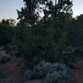 Review photo of Navajo National Monument Sunset View Campground by Jennifer O., June 26, 2018