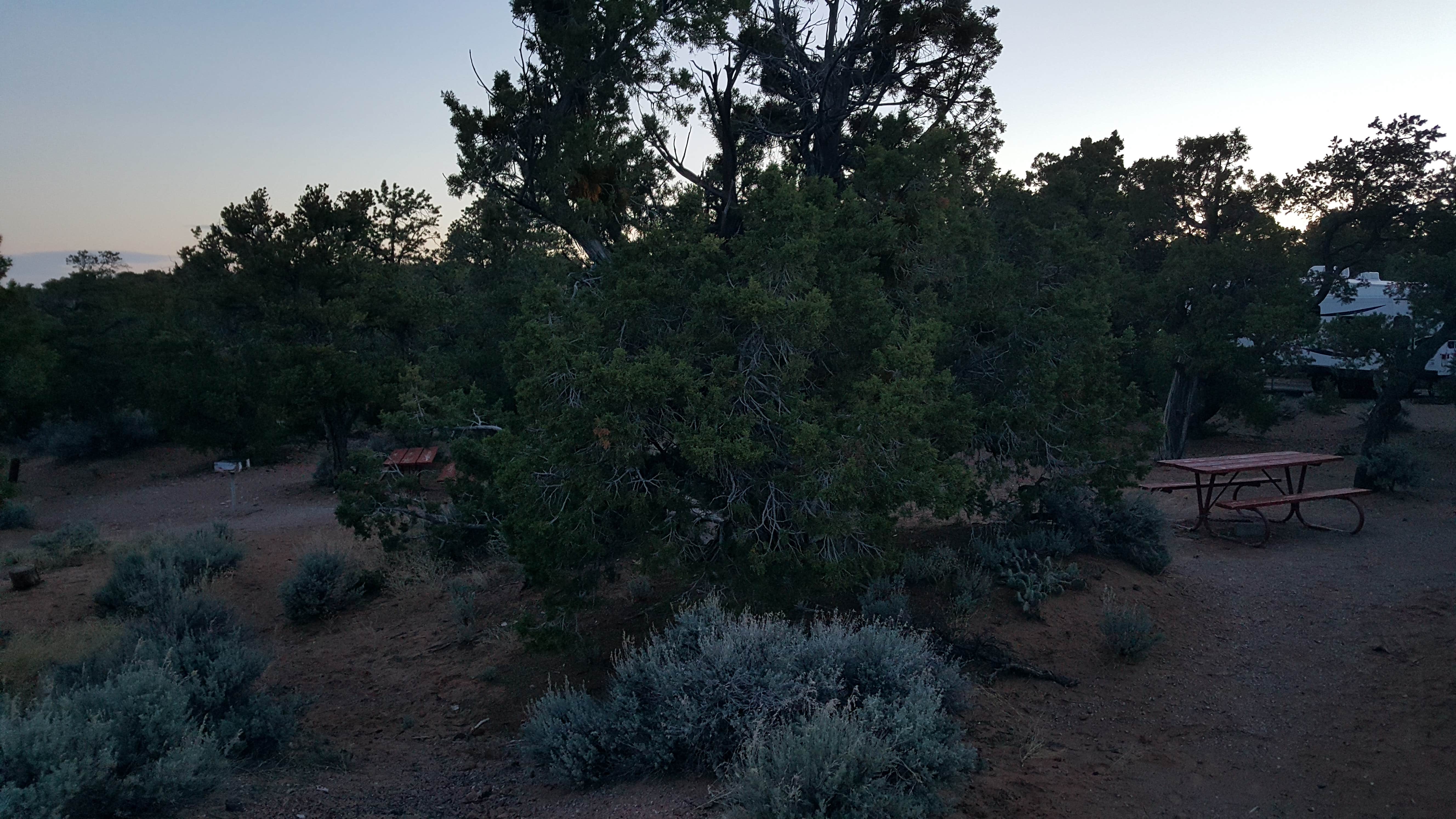 Camper submitted image from Navajo National Monument Sunset View Campground - 3