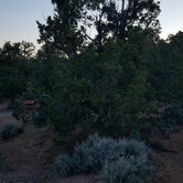 Review photo of Navajo National Monument Sunset View Campground by Jennifer O., June 26, 2018