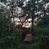 Review photo of Blood Mountain Shelter on the Appalachian Trail by Renee B., June 26, 2018