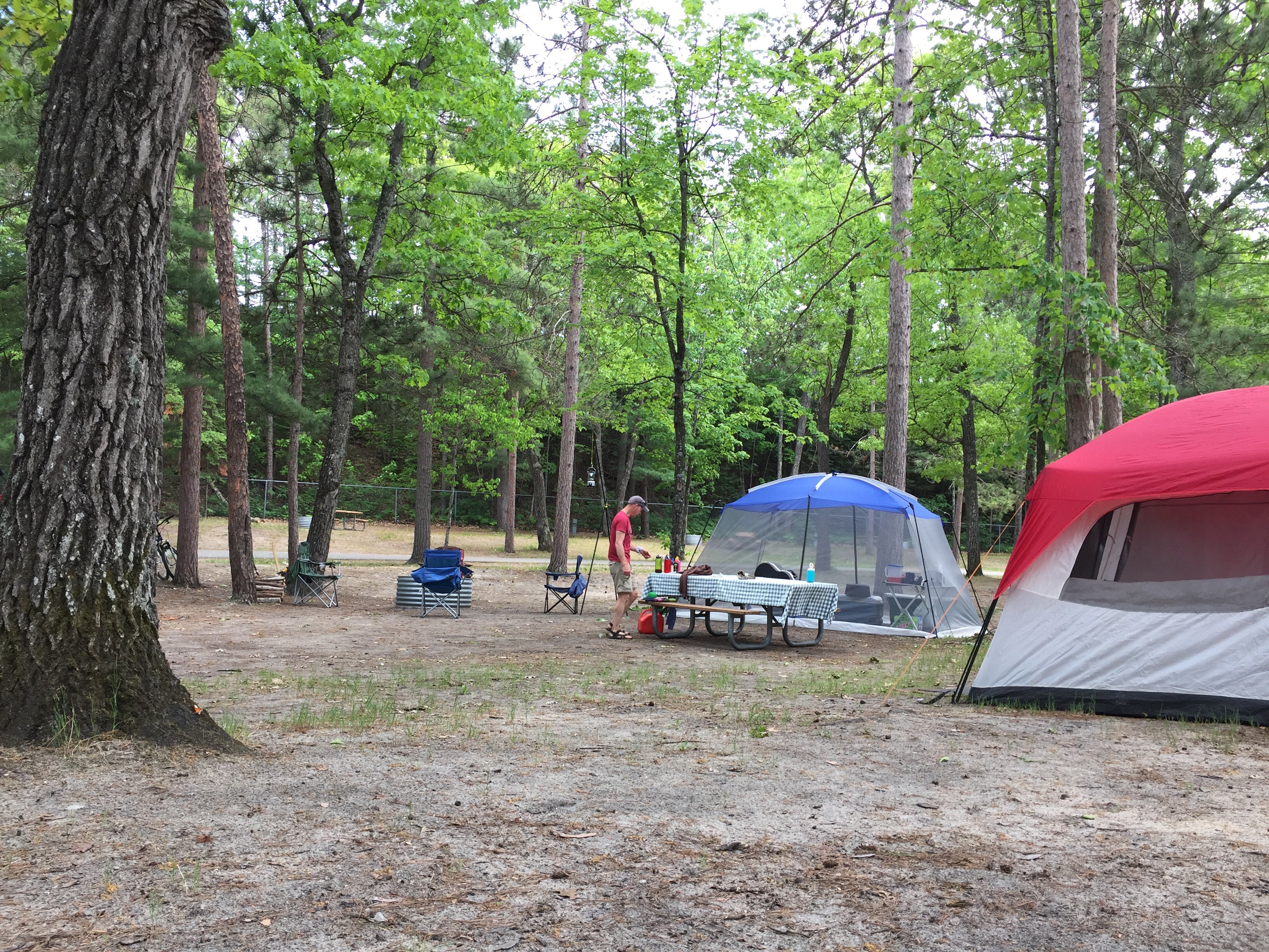 Camper submitted image from Burt Lake State Park - 5