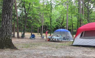 Sarah C.'s photo at Burt Lake State Park Campground near Mullett Lake, MI