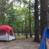 Review photo of Burt Lake State Park Campground by Sarah C., June 26, 2018