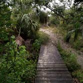 Review photo of Hickory Hill Wilderness Campsite by Renee B., June 26, 2018