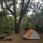 Review photo of Hickory Hill Wilderness Campsite by Renee B., June 26, 2018