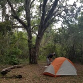 Review photo of Hickory Hill Wilderness Campsite — Cumberland Island National Seashore by Renee B., June 26, 2018