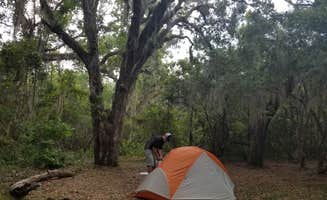 Renee B.'s photo at Hickory Hill Wilderness Campsite — Cumberland Island National Seashore near St. Simons Island, GA