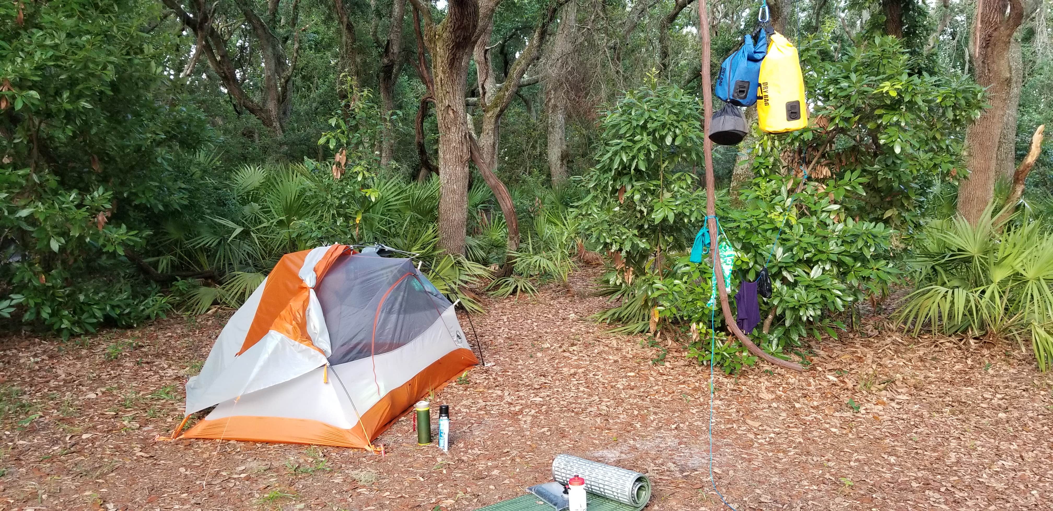 Renee B.'s photo at Stafford Beach Campground — Cumberland Island National Seashore in Georgia