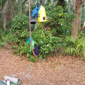 Review photo of Stafford Beach Campground — Cumberland Island National Seashore by Renee B., June 26, 2018