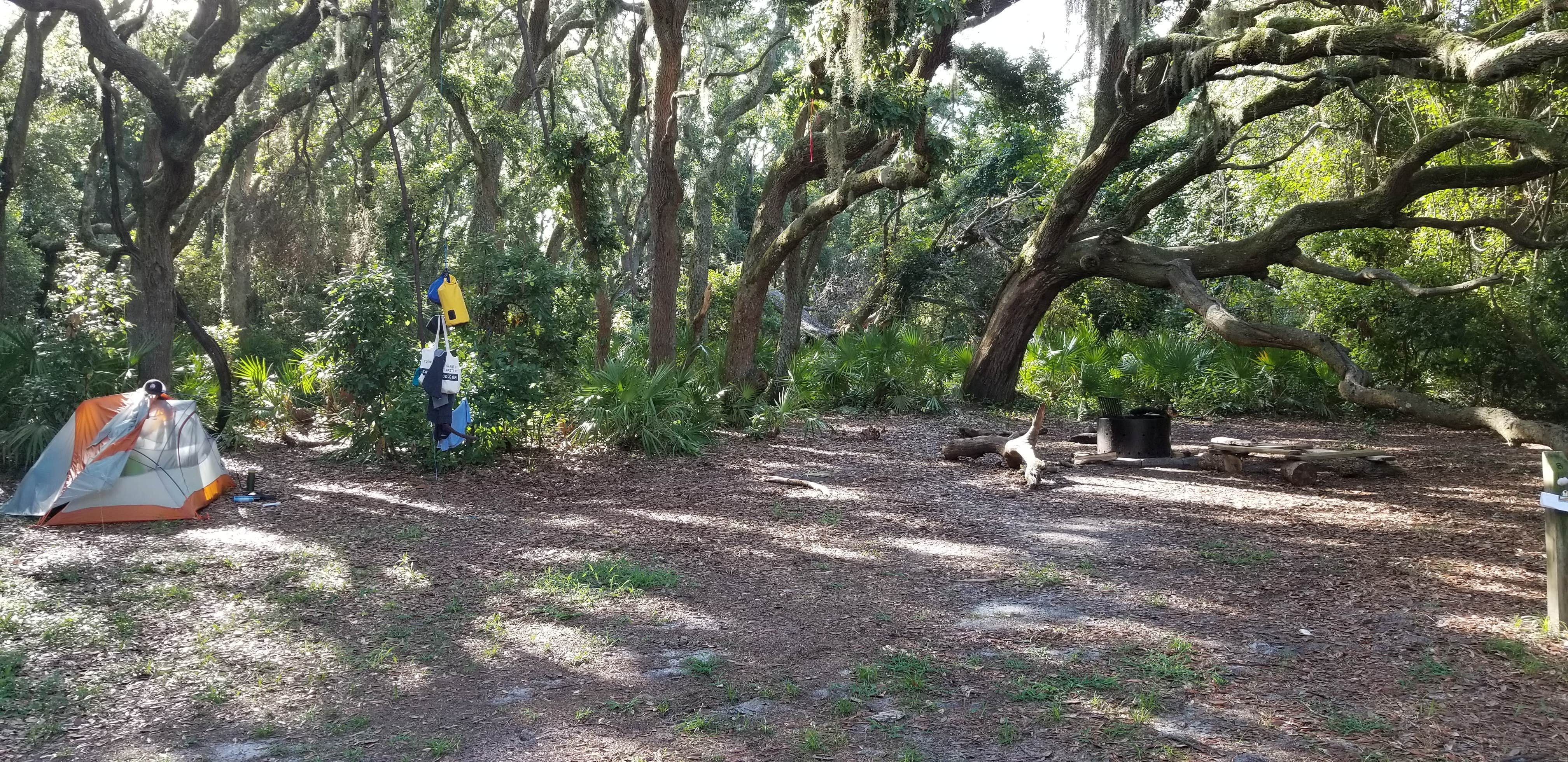 Renee B.'s photo of tent camping at Stafford Beach Campground — Cumberland Island National Seashore near Atlantic Beach, FL