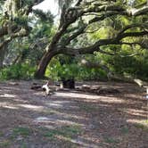 Review photo of Stafford Beach Campground — Cumberland Island National Seashore by Renee B., June 26, 2018