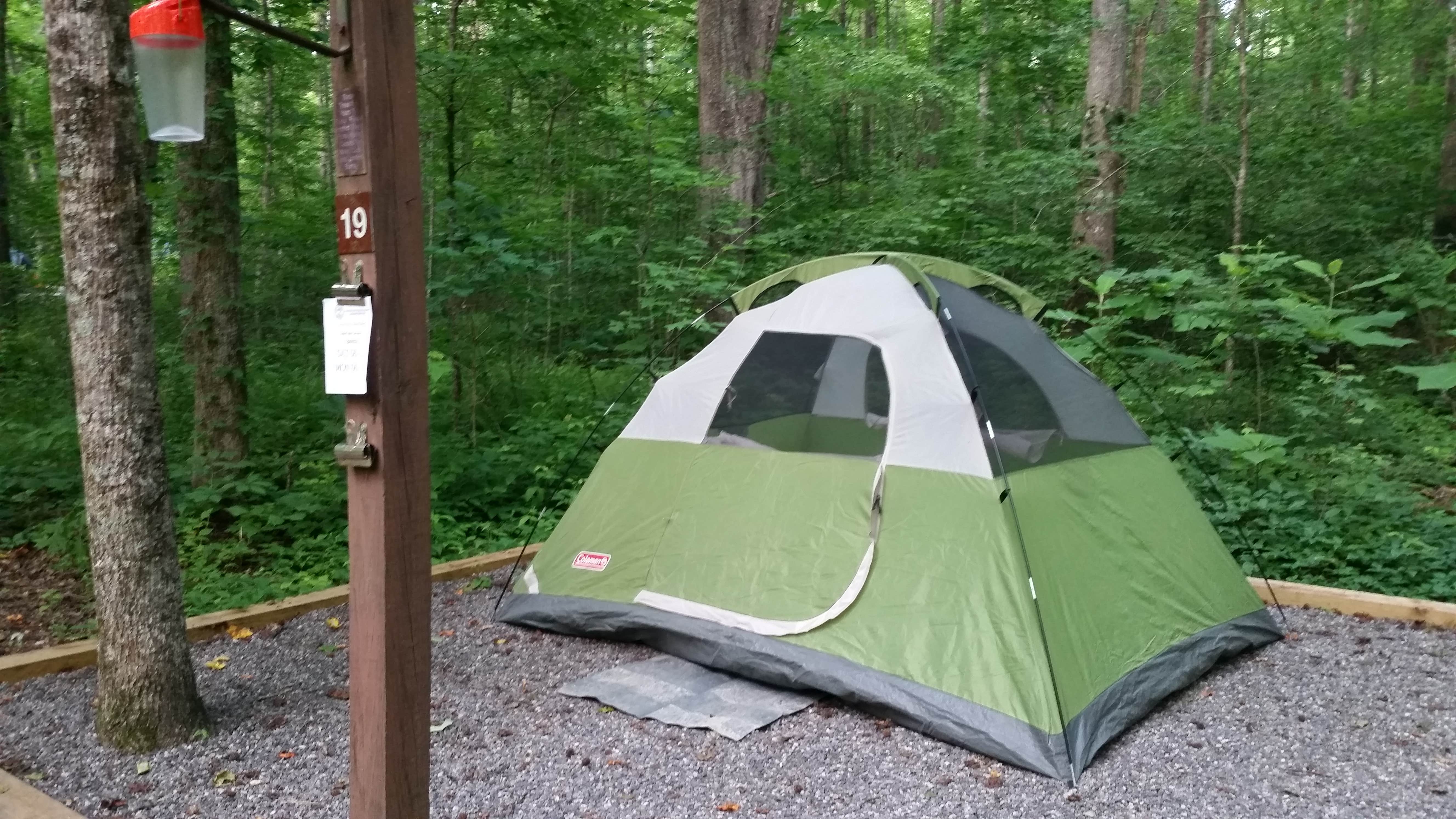 Renee B.'s photo at Foster Falls Campground — South Cumberland State Park near Tullahoma, TN