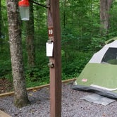 Review photo of Foster Falls Campground — South Cumberland State Park by Renee B., June 26, 2018