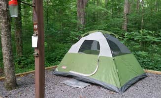 Renee B.'s photo at Foster Falls Campground — South Cumberland State Park near Altamont, TN