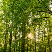 Review photo of Elkmont Campground — Great Smoky Mountains National Park by Jeff H., June 26, 2018