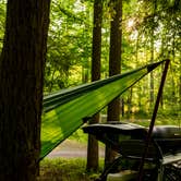Review photo of Elkmont Campground — Great Smoky Mountains National Park by Jeff H., June 26, 2018