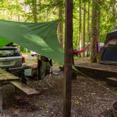 Review photo of Elkmont Campground — Great Smoky Mountains National Park by Jeff H., June 26, 2018