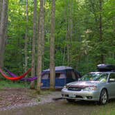 Review photo of Elkmont Campground — Great Smoky Mountains National Park by Jeff H., June 26, 2018