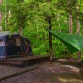 Review photo of Elkmont Campground — Great Smoky Mountains National Park by Jeff H., June 26, 2018