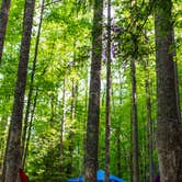 Review photo of Elkmont Campground — Great Smoky Mountains National Park by Jeff H., June 26, 2018