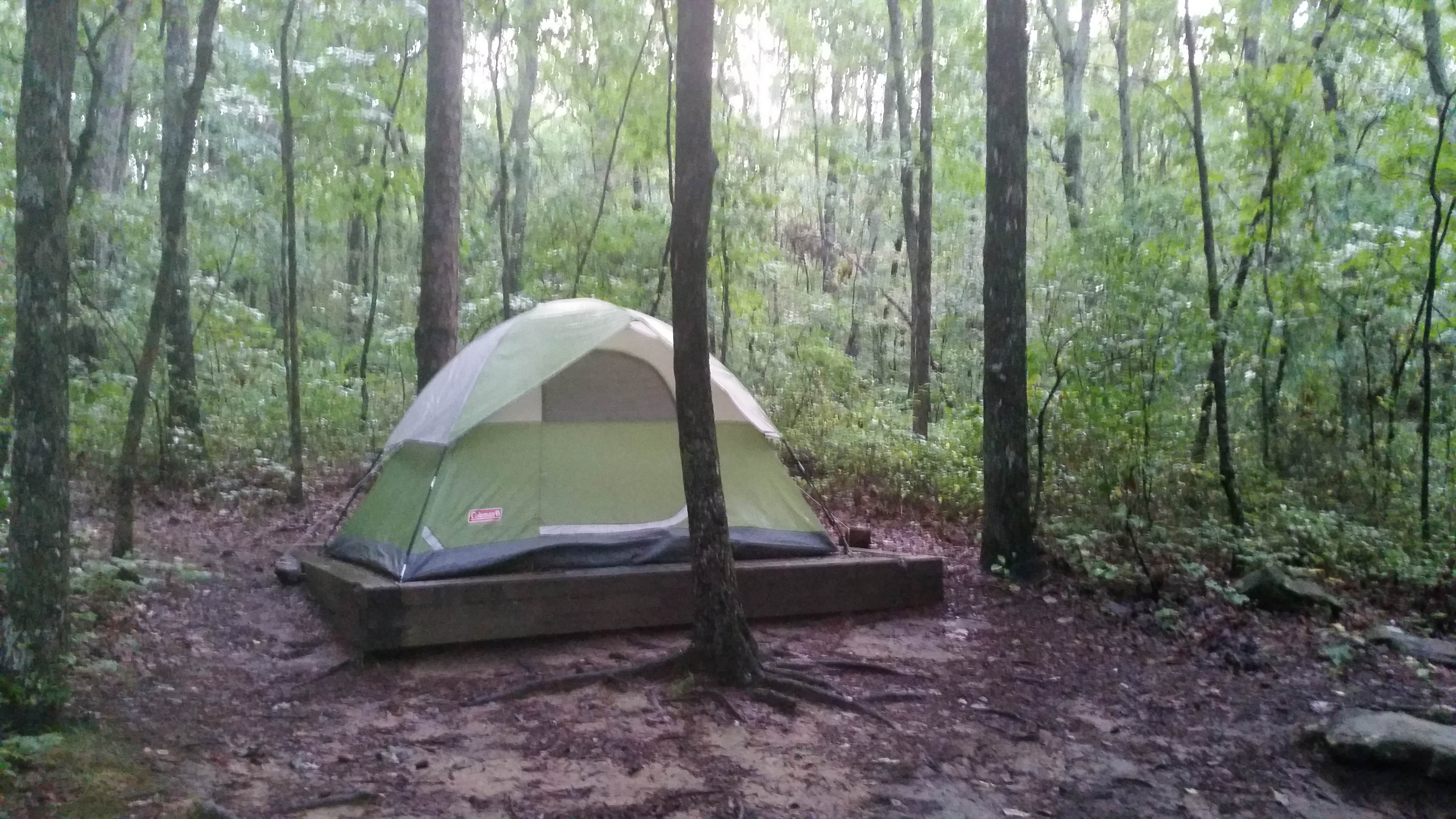 Renee B.'s photo at Cloudland Canyon State Park Campground near Bridgeport, AL