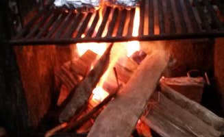 Renee B.'s photo at Cloudland Canyon State Park Campground near Trenton, GA