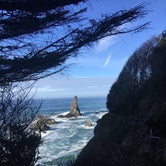 Review photo of Shi Shi Beach — Olympic National Park by Dani H., June 26, 2018